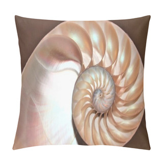 Personality  Nautilus Shell Fibonacci Symmetry Cross Section Spiral Structure Growth Golden Ratio (nautilus Pompilius) Seashell Swirl Pompilius Copy Space Stock, Photo, Photograph, Image, Picture, Pillow Covers