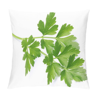 Personality  Parsley. Pillow Covers