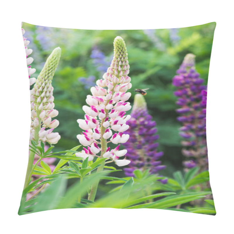 Personality  Bee flying above pink lupine flower on meadow pillow covers