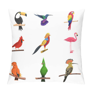 Personality  Exotic Birds Set Pillow Covers