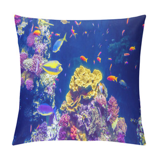 Personality  Scuba Diving Explore The Red Sea, Egypt Pillow Covers