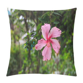 Personality  Hibiscus Rosa Sinensis.  Pillow Covers