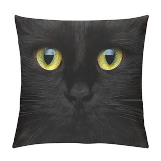 Personality  Cute Muzzle Of A Black Cat Pillow Covers