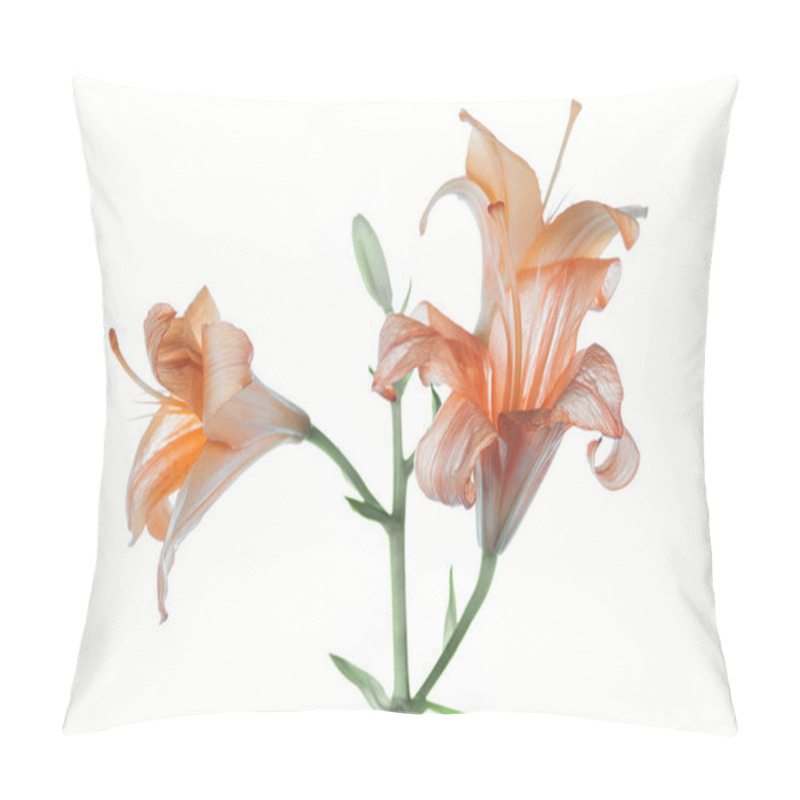 Personality  beautiful tender orange lily flowers isolated on white   pillow covers
