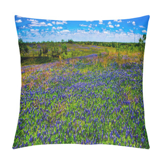 Personality  A Beautiful Wide Angle Panoramic View Of A Texas Field Blanketed With The Famous Texas Bluebonnet Pillow Covers