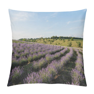 Personality  Field With Blossoming Lavender Under Blue Sky In Farmland Pillow Covers