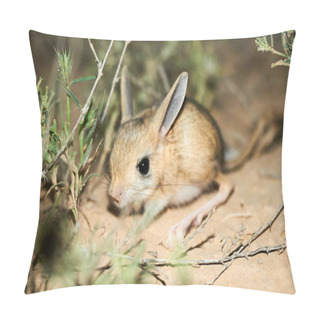 Personality  Jerboa - Steppe Animal Pillow Covers