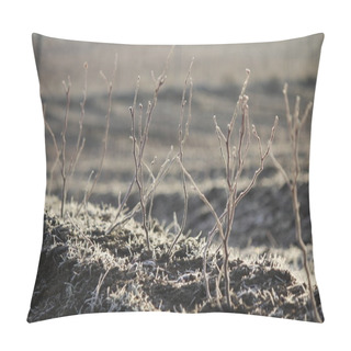 Personality  Hoar Frost On Crops Pillow Covers