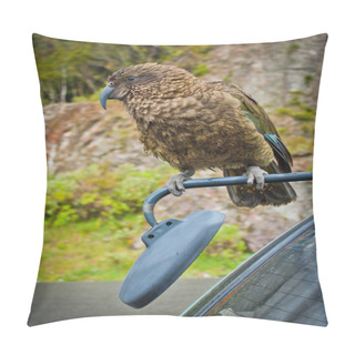 Personality  Nestor Kea Parrot In Arthurs Pass National Park In New Zealand, Famous Place To See Parrots, Wild Birds Of New Zealand Pillow Covers
