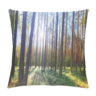 Personality  Coniferous Forest Summer Landscape Green Trees Outdoor Background Nature Pillow Covers