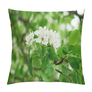 Personality  Close-up View Of Tender White Flowers Blooming At Cherry Tree Pillow Covers