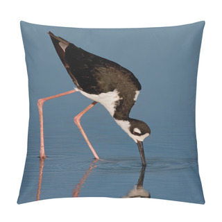 Personality  Black-necked Stilt (Himantopus Mexicanus) Pillow Covers