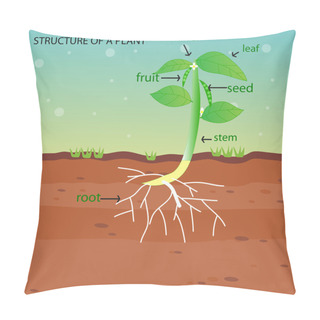 Personality  STRUCTURE OF A PLANT Pillow Covers