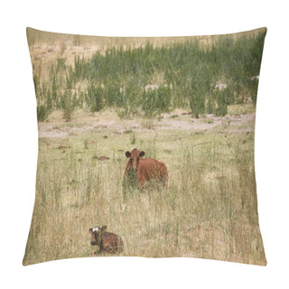 Personality  Rural Scenic. Cattle. Herd Of Cows And Calves Grazing In The Green Farmland.  Pillow Covers