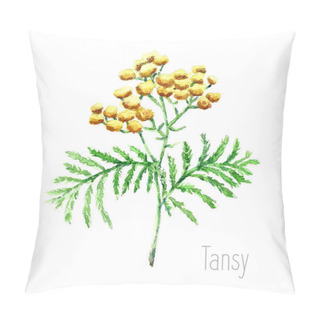 Personality  Watercolor Tansy Herb. Pillow Covers