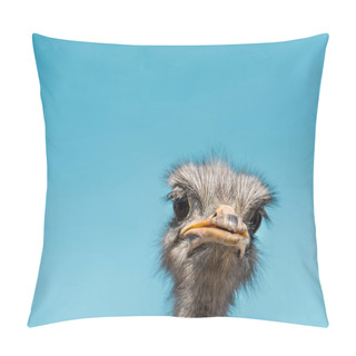 Personality  Close Up Portrait Of Beautiful Ostrich Against Blue Sky Pillow Covers