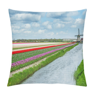 Personality  Springtime In Holland Pillow Covers
