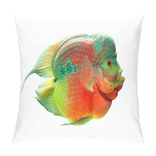 Personality  Cichlid. Pillow Covers
