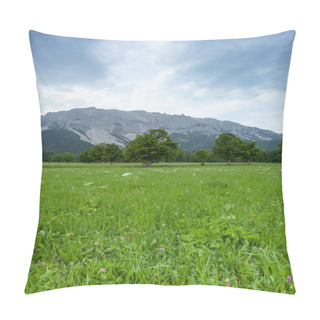 Personality  Trees On A Meadow Pillow Covers