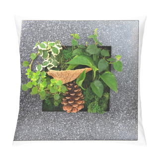 Personality  Contemporary Wall Planter Pillow Covers