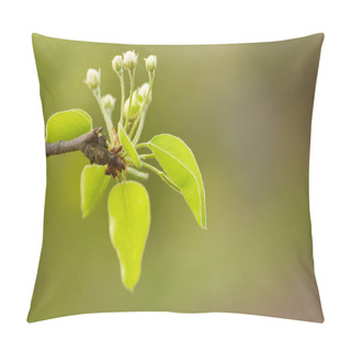 Personality  Beautiful Delicate Spring Flowers Buds. Pillow Covers