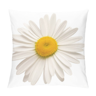 Personality  One White Daisy Flower Isolated On White Background. Flat Lay, Top View. Floral Pattern, Object Pillow Covers