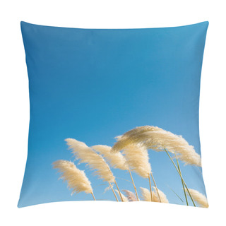 Personality  Pampas Grass Pillow Covers