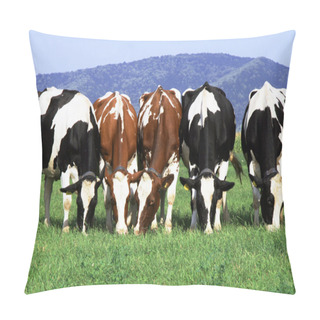 Personality  Herd Ow Cows Grazing On Field Pillow Covers