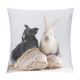 Personality  Little Rabbits In Sandals Pillow Covers