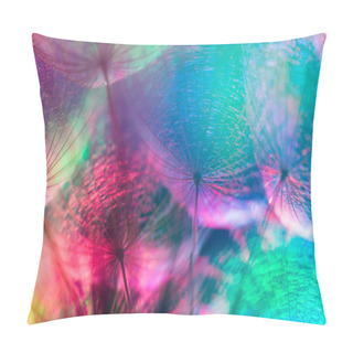 Personality  Colorful Pastel Background - Vivid Abstract Dandelion Flower Pillow Covers