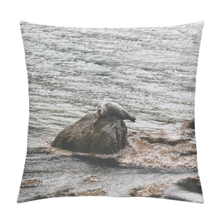 Personality  Seal Pillow Covers