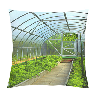 Personality  Vegetables In Greenhouse Pillow Covers