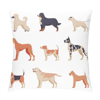 Personality  Purebred Dogs Collection, Beagle, Dalmatian, Labrador, Poodle, Greyhound Pet Animals, Labrador Retriever, Fox Terrier Pet Animals, Side View Vector Illustration Pillow Covers