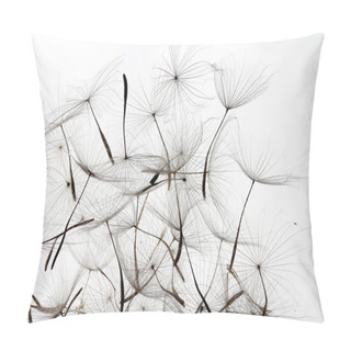 Personality  Dandelion Seeds Background Pillow Covers