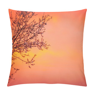 Personality  Blooming Tree On Sunset Background Pillow Covers