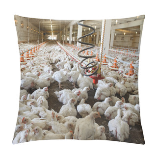 Personality  Poultry Farm. Pillow Covers