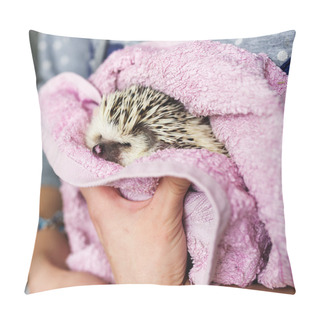 Personality  The African Hedgehog Who Is Wrapped Up In Towel. Pillow Covers