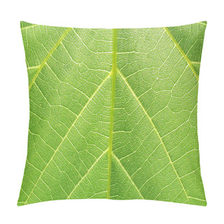 Personality  Structure Of Grape Leaf Pillow Covers