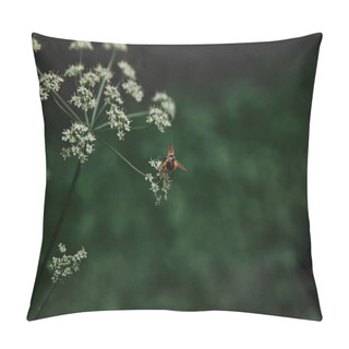 Personality  Selective Focus Of Bee On Cow Parsley Flowers With Blurred Background Pillow Covers