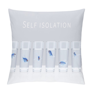 Personality  Six Blue Aquarium Fishes In Separate Glasses With Water On A Gray Background With The Words Self Isolation. Quarantine, Isolation, Social Distance Concept Pillow Covers