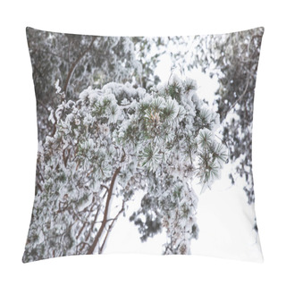 Personality  Tree Branches Covered With Snow In Forest Pillow Covers