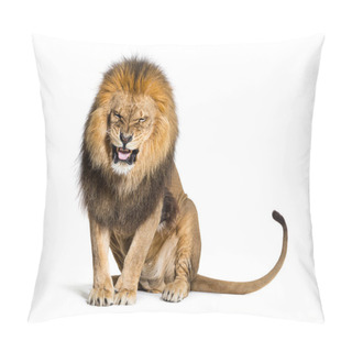 Personality  Lion Pulling A Face And Looking At The Camera, Isolated On White Pillow Covers