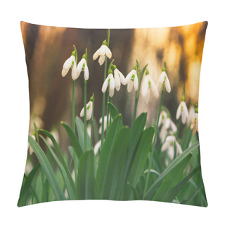 Personality  Spring Snowdrop Flowers Blooming In Forest Pillow Covers
