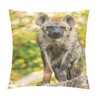 Personality  Hyena Pillow Covers