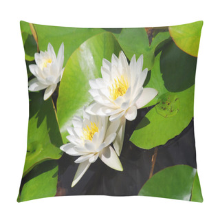 Personality  Water Lily (lotus) Pillow Covers