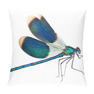 Personality  Dragonfly Isolated On White Pillow Covers
