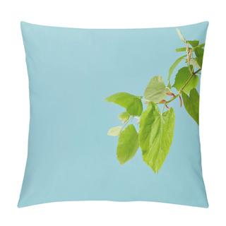 Personality  Green Leaves On Tilia Branch Isolated On Blue Pillow Covers