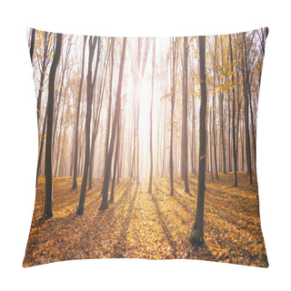 Personality  Foggy, Sunny Morning In Autumn Forest. Fairytale Forest Sunlight And Shadows  Pillow Covers