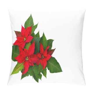 Personality  Flowers Of Red Poinsettia (Euphorbia Pulcherrima) With Space For Text On White Background. Flat Lay, Top View Pillow Covers