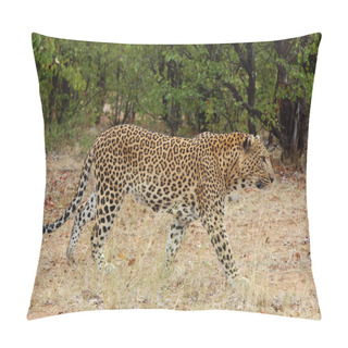 Personality  Leopard / Leopard / Panthera Pardus Pillow Covers